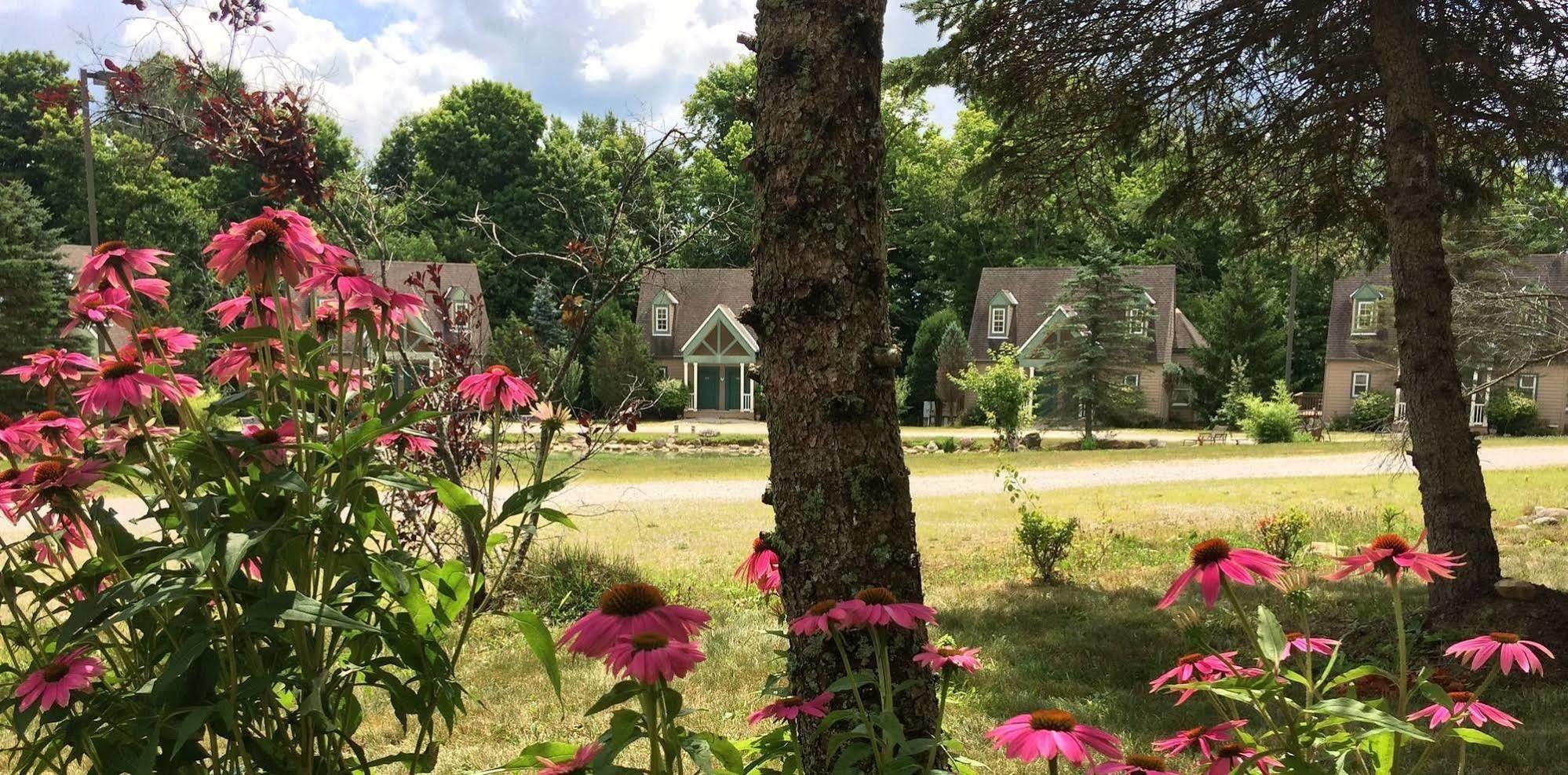 Spruce Hill Inn & Cottages Mansfield Exterior photo